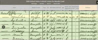 Snippet Of the 1900 Census Report used in my article "I Found My Great Aunt, Vina Creal"