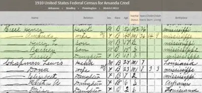 Snippet Of the 1910 Census Report used in my article "I Found My Great Aunt Vina Creal"