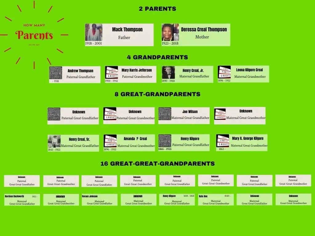 Parent Chart representing Meaning of Family Relationships.