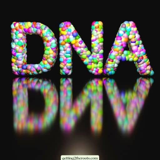 A Photo saying DNA