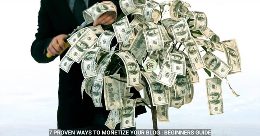 This is an image of a money tree representing Monetize Your Blog.