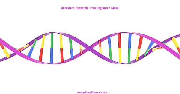 DNA image used in my article, Ancestors’ Research Free Beginner’s Guide