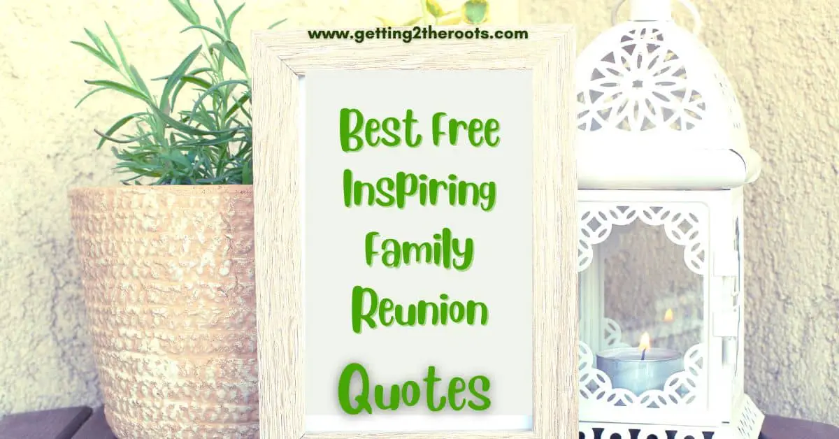 A tree image that was used in my post Best Free Inspiring Family Reunion Quotes.
