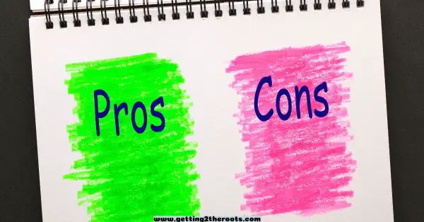 This image is green and pink with the words pros and cons used in my article How To Plan The Best Black Family Reunion.
