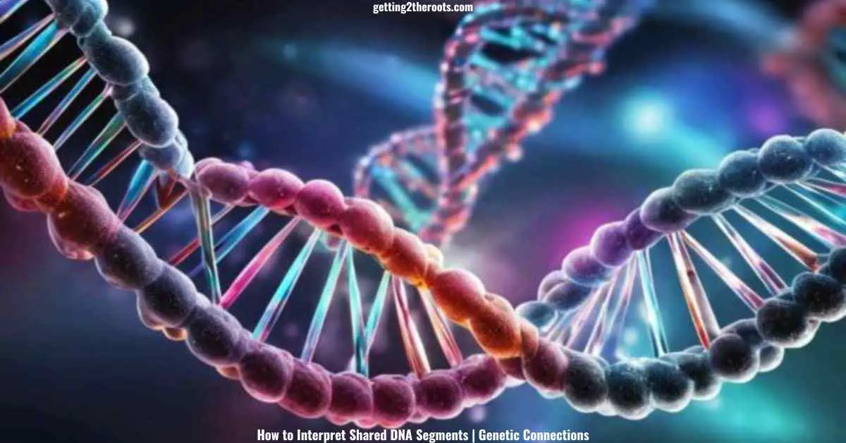 DNA image representing Shared DNA Segments.