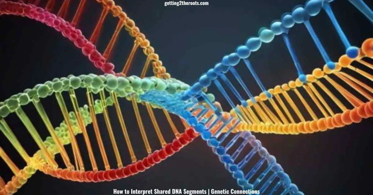 A microscopic image showing the DNA segments, representing the blueprint of life representing Shared DNA Segments.