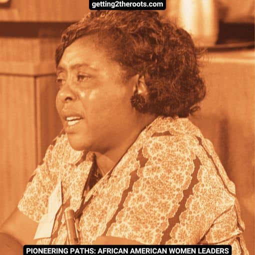 An image of Fannie Lou Hamer is used in my article, Pioneering Paths: African American Women Leaders.