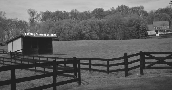 A photo of stables and a house used in my article, "The Life Story Of My Great-Grandparents, Henry & Amanda Creal/Creel."